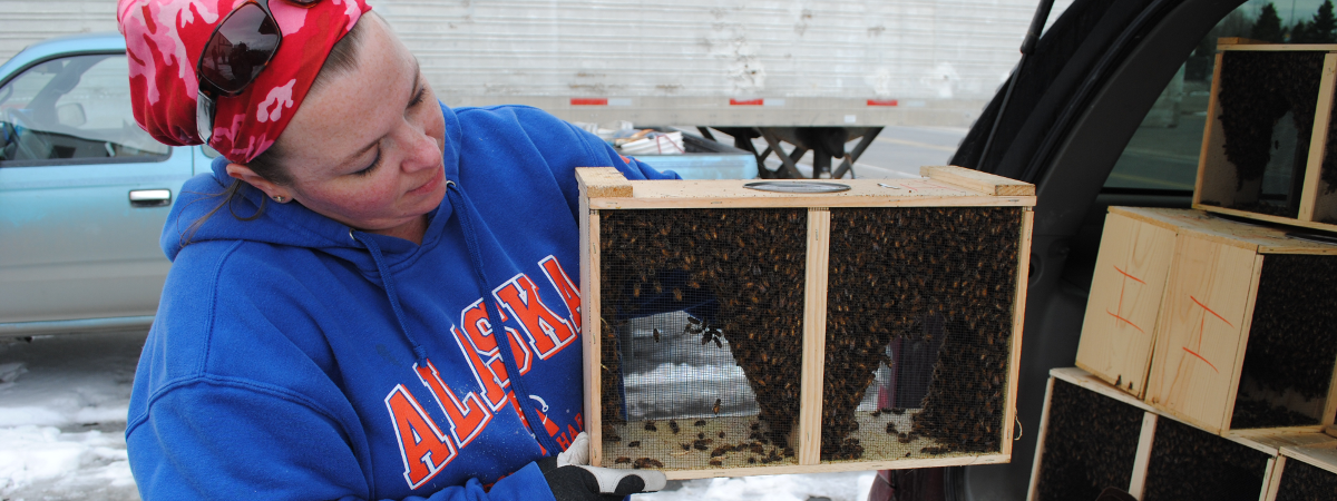 Inviting All Alaskan Beekeepers